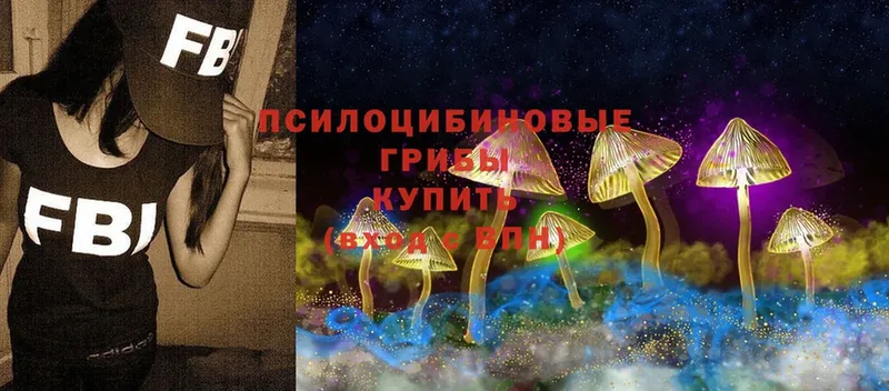 omg рабочий сайт  Нюрба  Псилоцибиновые грибы Magic Shrooms 